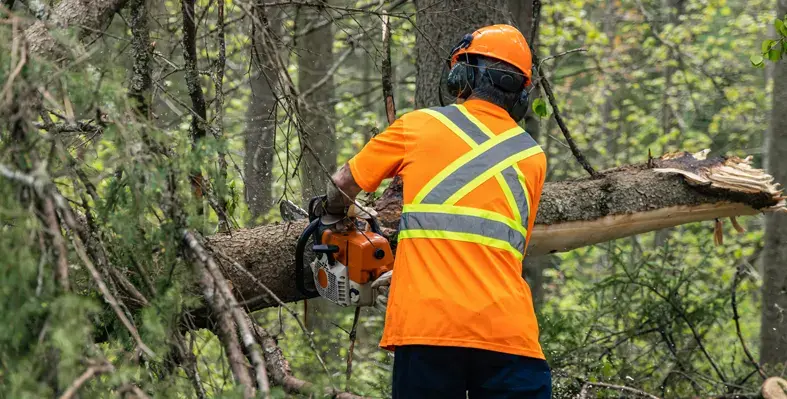 person clearing storm debris using chainsaw