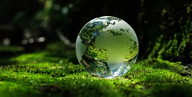 A glass globe, engraved with the outline of the Earth's continents, resting on grass. 