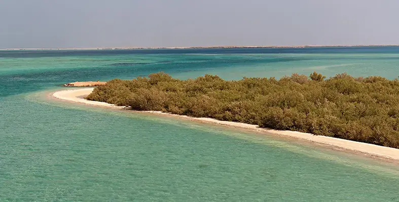 Red Sea beach landscape Saudi Arabia